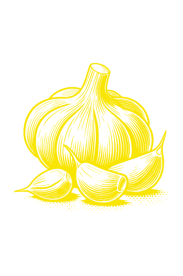 Yellow Garlic