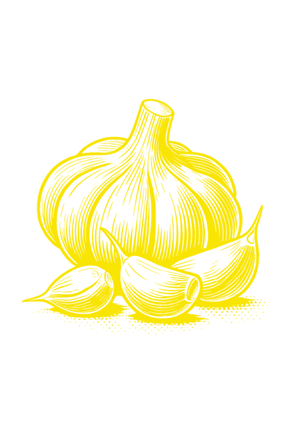 Yellow Garlic